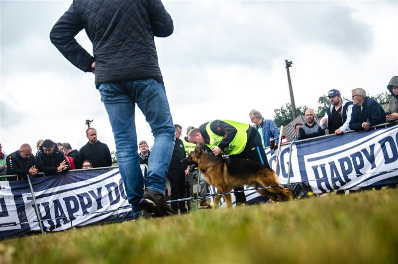 Beste Duitse herders van de wereld op Helzold