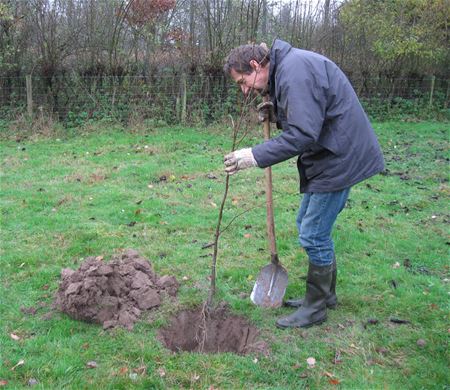 Bestel  je streekeigen planten of struiken