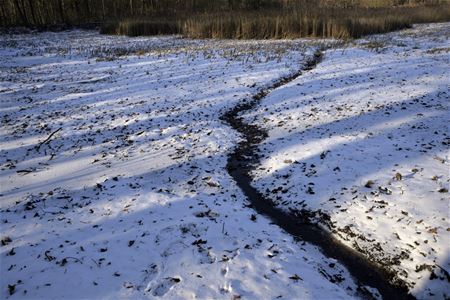 Bijna 17 graden temperatuursverschil vandaag