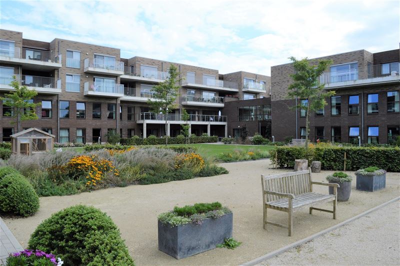 BoCasa viert zaterdag zijn 10de verjaardag