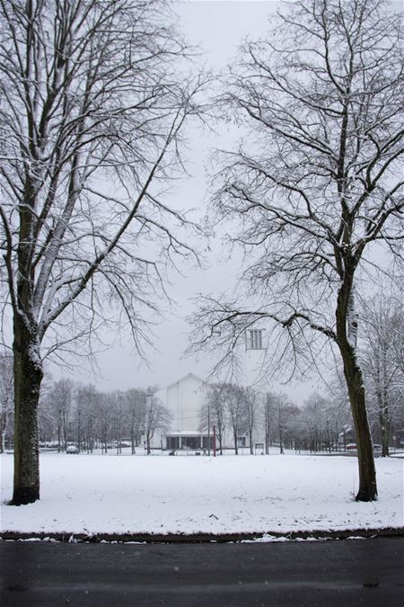 Boekt nog witter dan wit