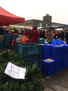 Boerenkool populair op de markt