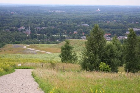 Bolderberg en mijnterril zijn sterrenplekjes