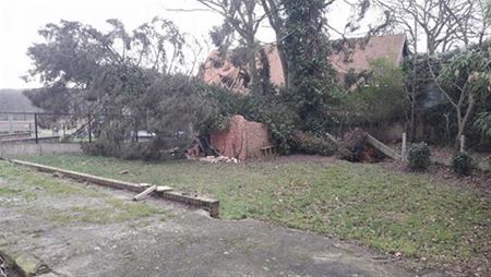 Bomen gaan tegen de vlakte