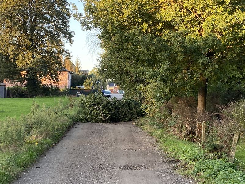 Boom versperde trage weg