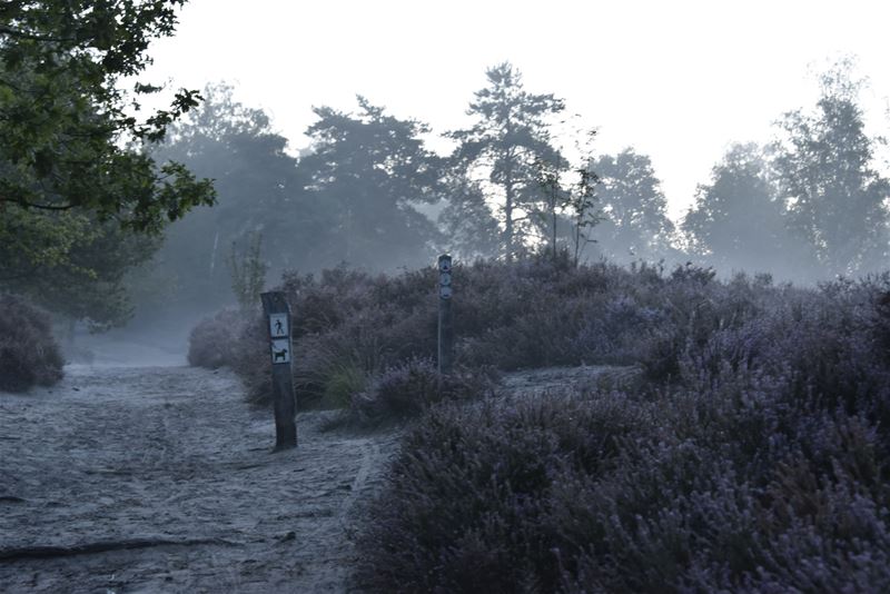 Bossen aan de Kluis bij de extra natuurreservaten