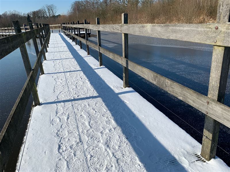 Bovy is een momenteel een hotspot