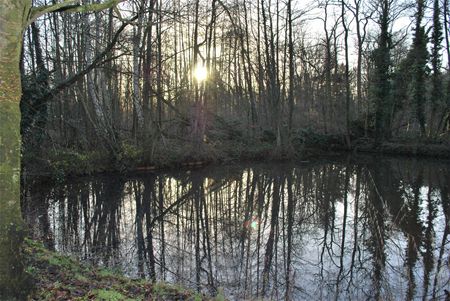 Bovy moet park- en groenbeheersplan krijgen