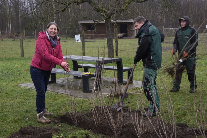 Bovy wordt een park om te plukken en te smullen