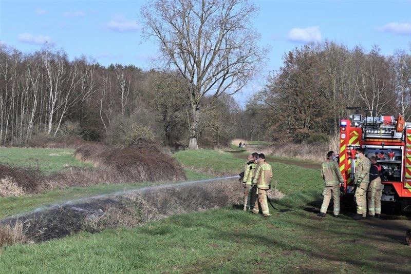 Brandje aan de Mangelbeek snel geblust