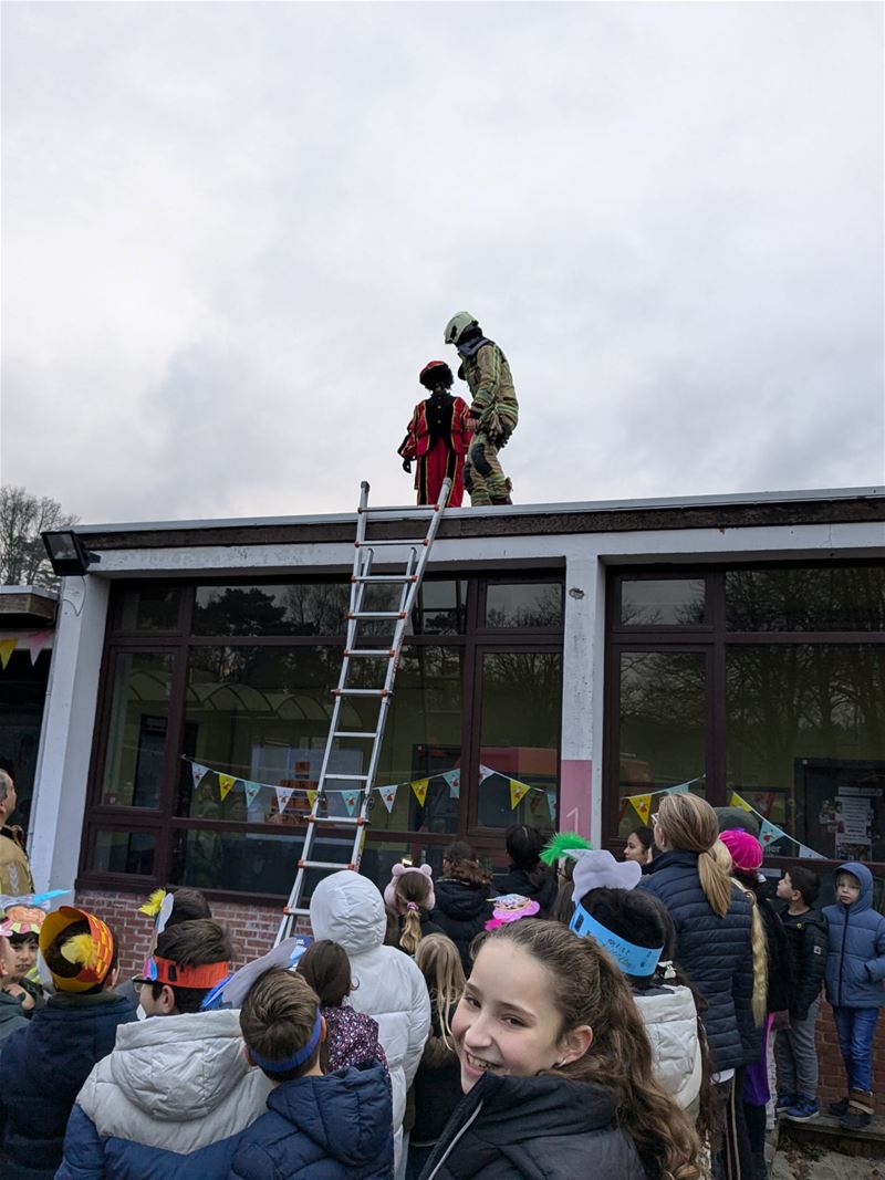 Brandweer haalt Piet van dak in De Linde