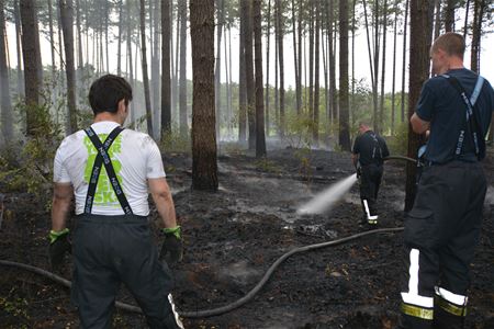 Brandweer hele dag aan het werk bij bosbrand