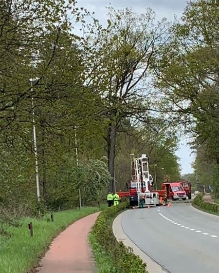 Brandweer moet omgewaaide bomen opruimen