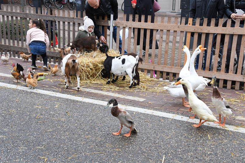 Buitengewone Braderie met veel buitenanimatie