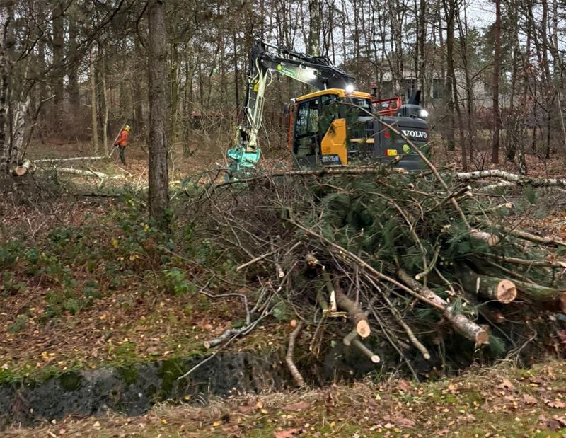 Buurt in verzet tegen gestarte bomenkap Bolderberg