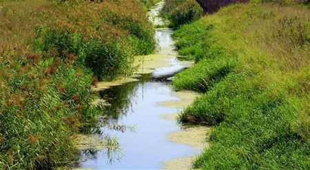 Captatieverbod alleen nog in het kanaal