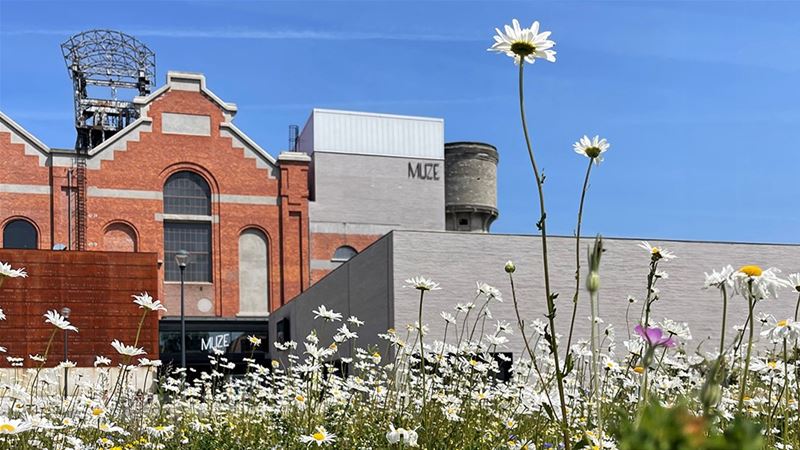 CC Muze neemt vakantie, MuzeCafé op zuiderse toer