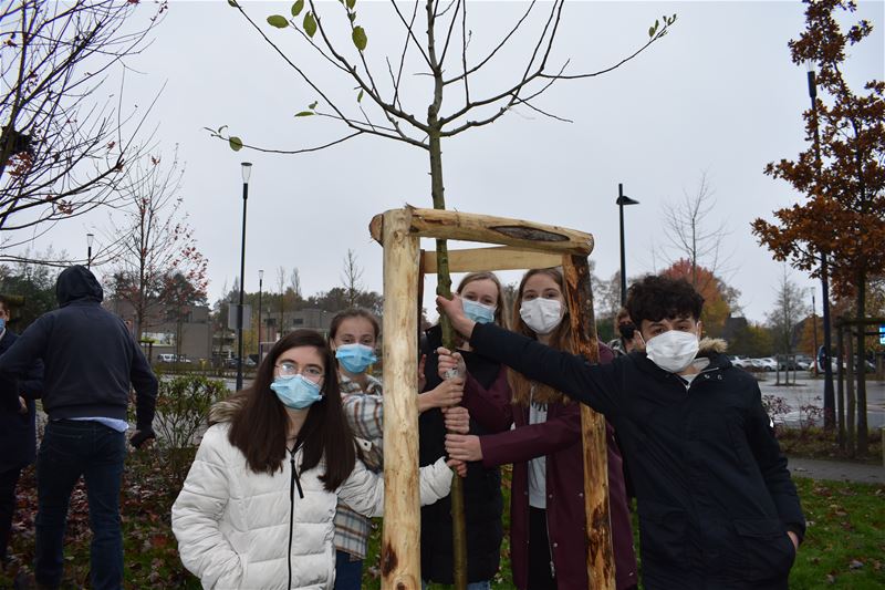 College plantte drie klimaatbomen