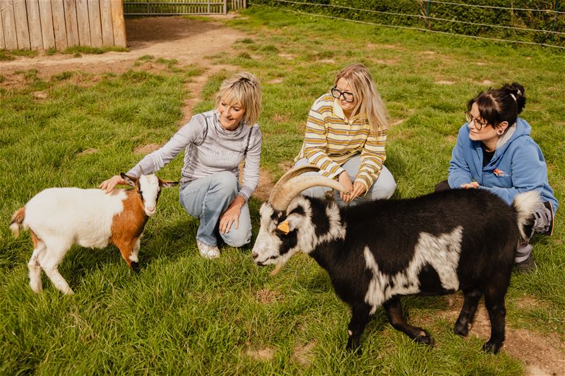 Damhert steunt Animal Sans Toit in Viemme
