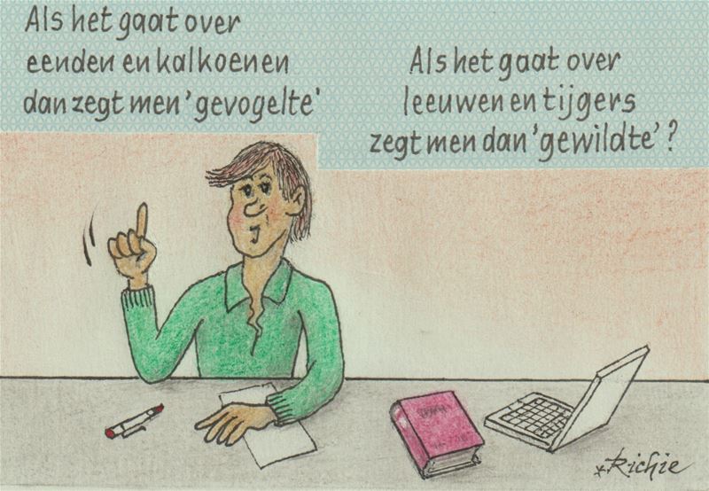 De blik van Richie