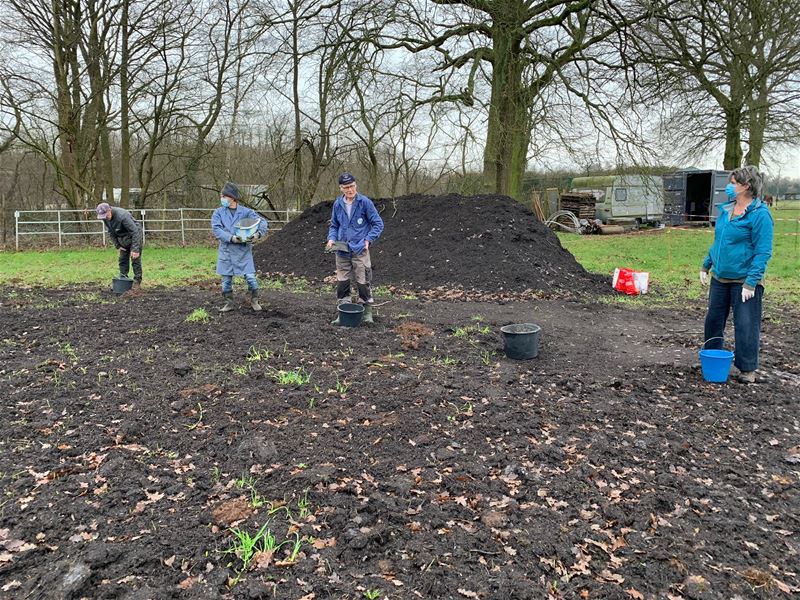 De dorpstuintjes zijn 'gekalkt'