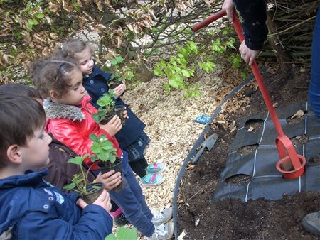 De eerste plantjes staan erin