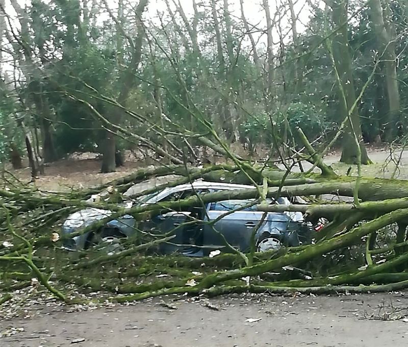 De eerste schadegevallen door storm