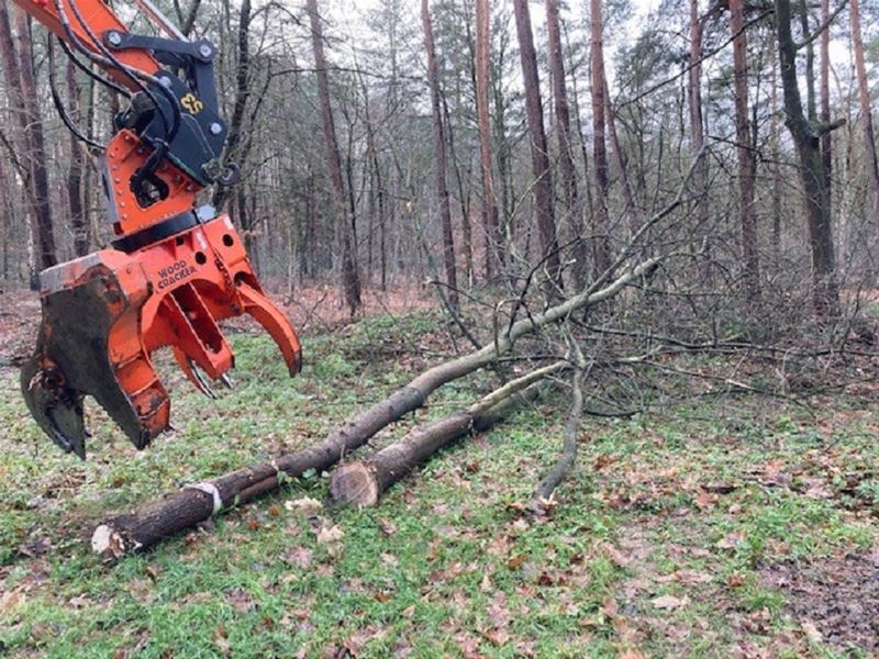 De eerste stappen worden gezet