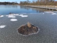 De ergste koude is voorbij