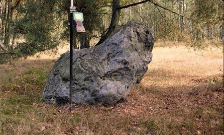 De grauwe steen is spoorloos verdwenen