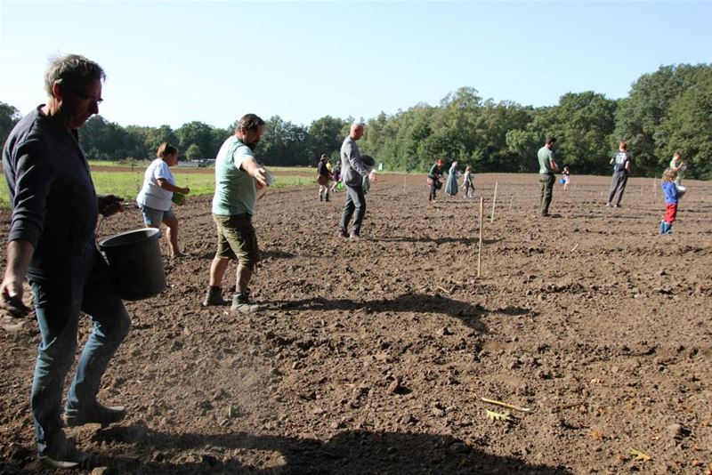 De Grune Grond: biologisch en natuurvriendelijk