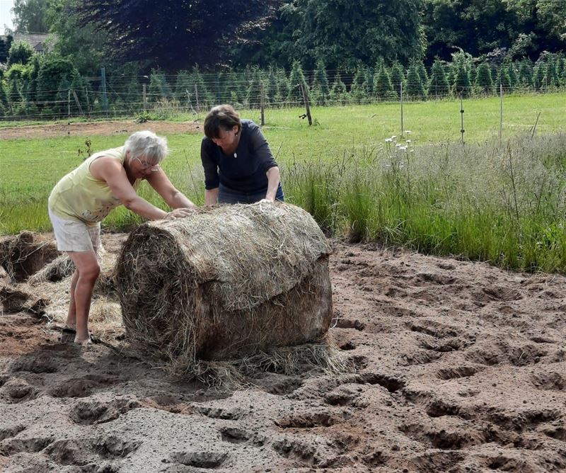 De Grune Grond wordt uitgebreid