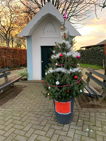 De kerstboom van de buurt