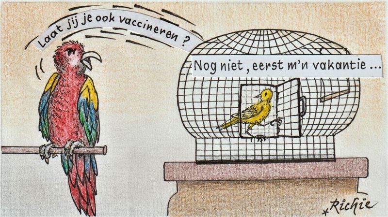 De kijk van Richie