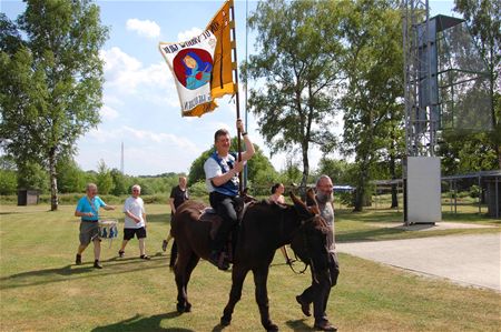 De koning en de ezel