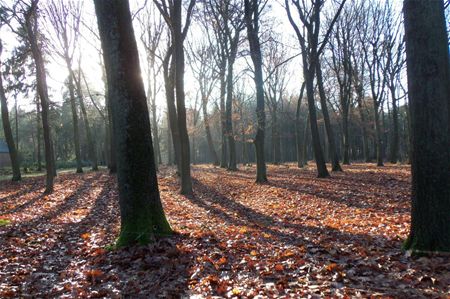 De laatste mooie herfstdagen