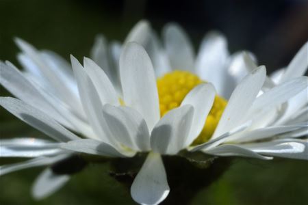 De lente is begonnen