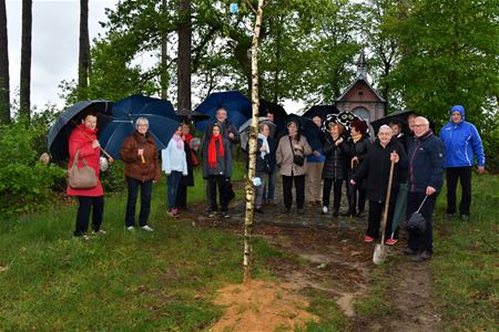 De meiboom prijkt weer aan de Sint-Janskapel