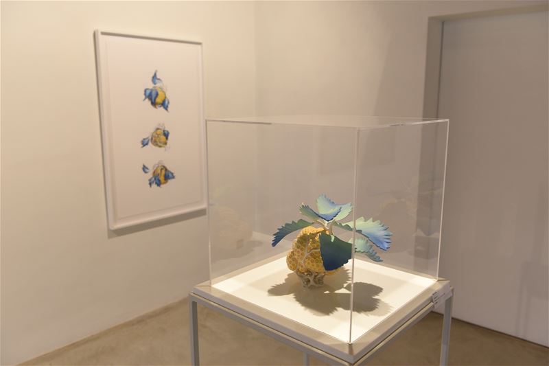 De Mijlpaal is deze week extra geopend