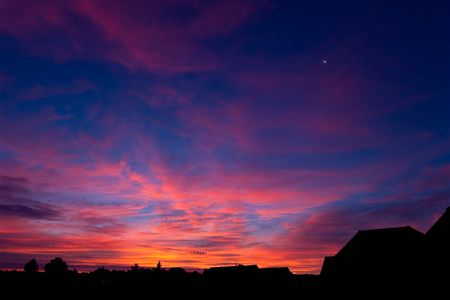 De ochtendstond heeft goud in de mond