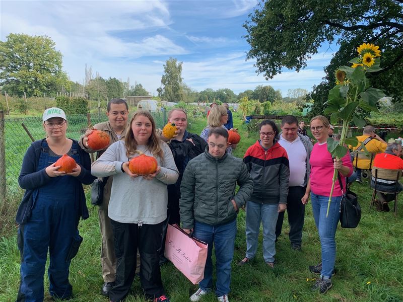 De pompoenen zijn geoogst in de dorpstuintjes