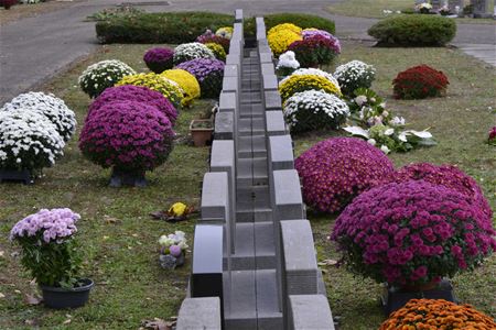 De trend in allerheiligenbloemen