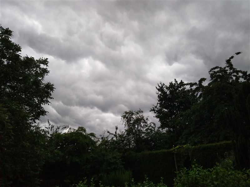 De voorbode van veel water