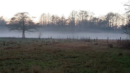 De voorlaatste zonsondergang van 2016