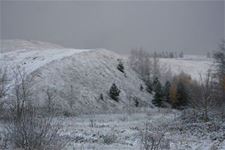 De Week van de Waarheid