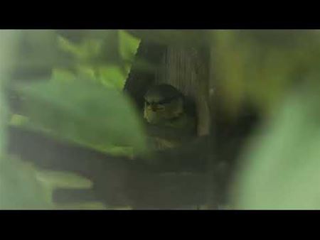 De wijde wereld in ...