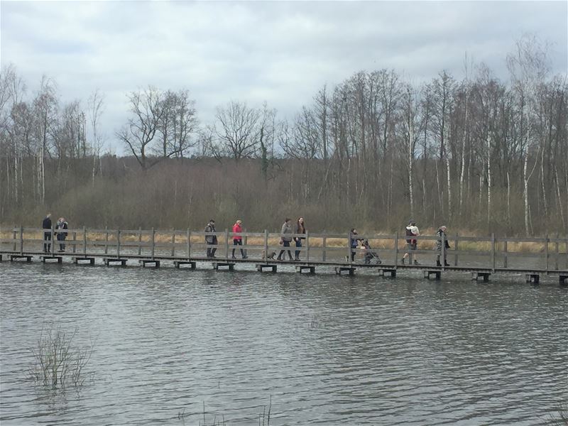 De Wijers wordt geen Landschapspark