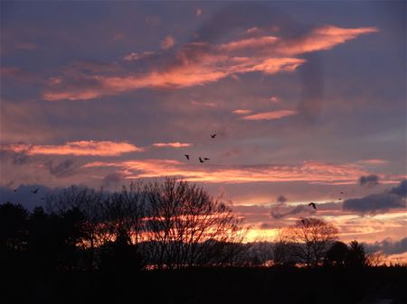 De wind en het westen