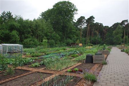 De Zandloper wil een pluktuin aanleggen