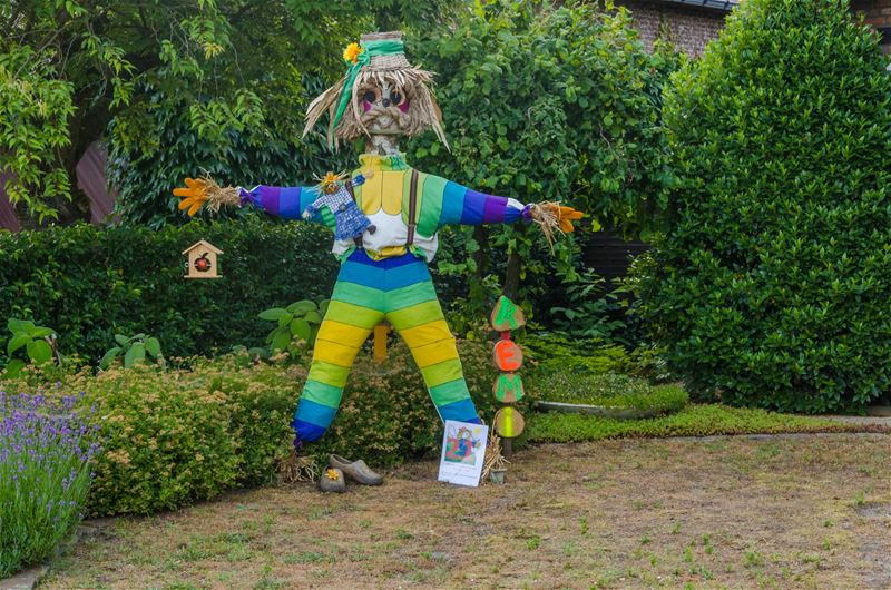 De zomer van de vogelverschrikker (1)